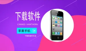 苹果手机下载国外软件：国际版软件/游戏安装详细指南！